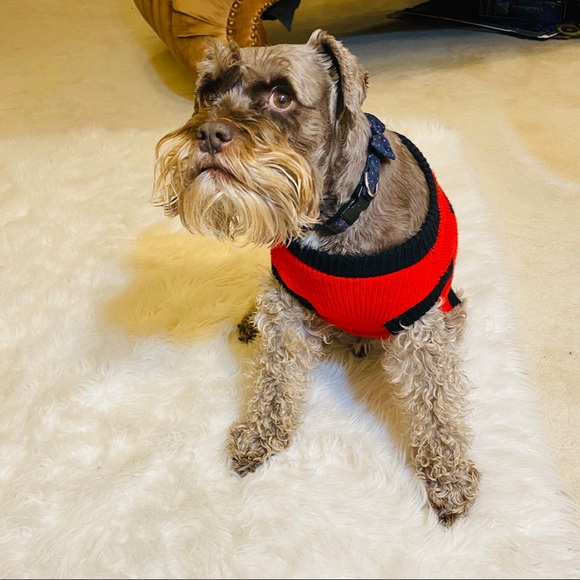 Old Navy Bow Wow Dog Sweater - Picture 3 of 6